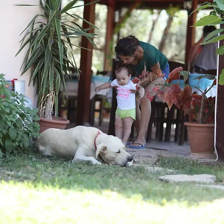 Lägenhetshotell Incir Apart