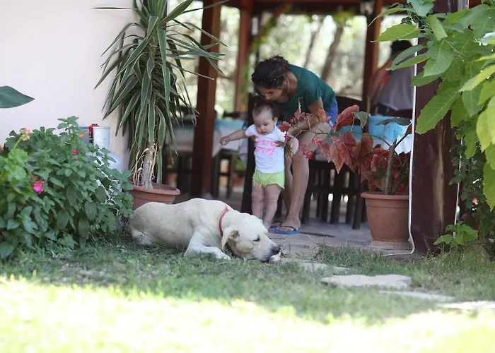 Apart Otel Incir Apart